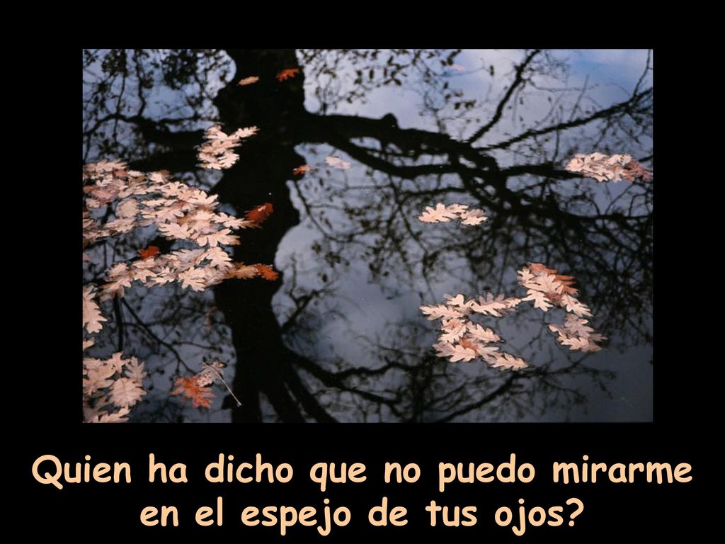 Quien ha dicho que no puedo mirarme en el espejo de tus ojos