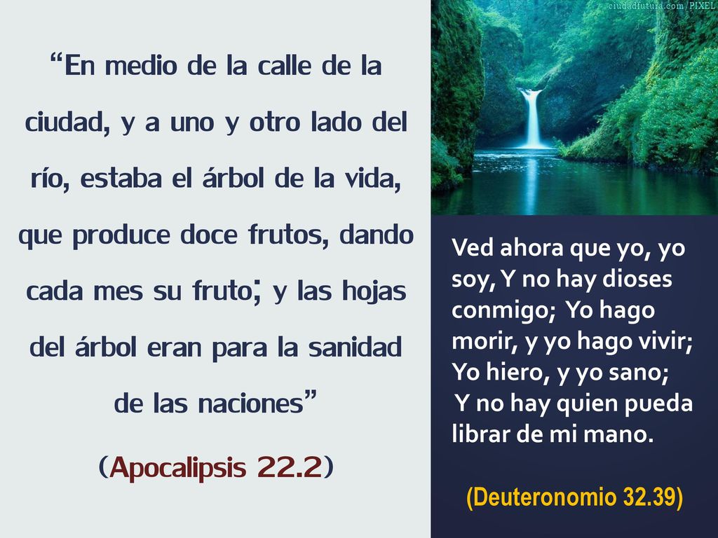 En medio de la calle de la ciudad, y a uno y otro lado del río, estaba el árbol de la vida, que produce doce frutos, dando cada mes su fruto; y las hojas del árbol eran para la sanidad de las naciones
