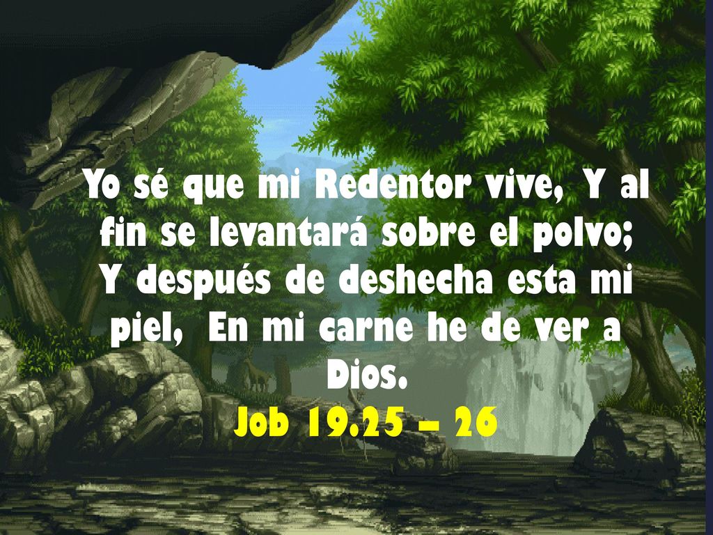 Yo sé que mi Redentor vive, Y al fin se levantará sobre el polvo; Y después de deshecha esta mi piel, En mi carne he de ver a Dios.
