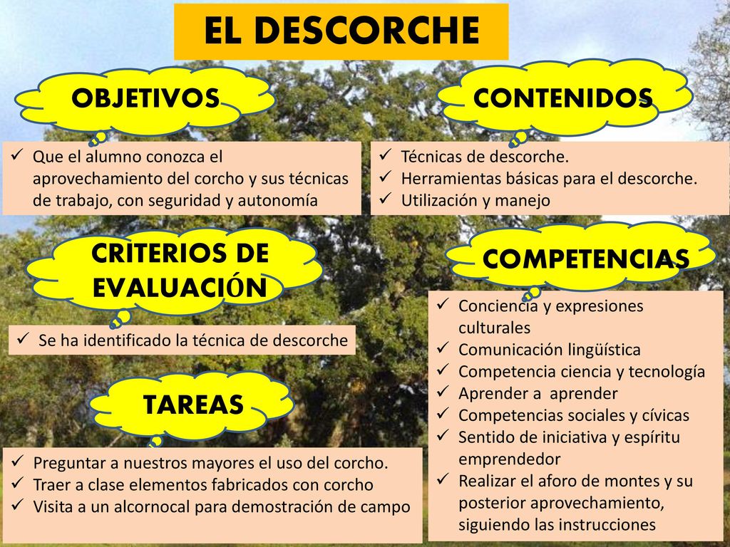 EL DESCORCHE OBJETIVOS CONTENIDOS CRITERIOS DE EVALUACIÓN COMPETENCIAS