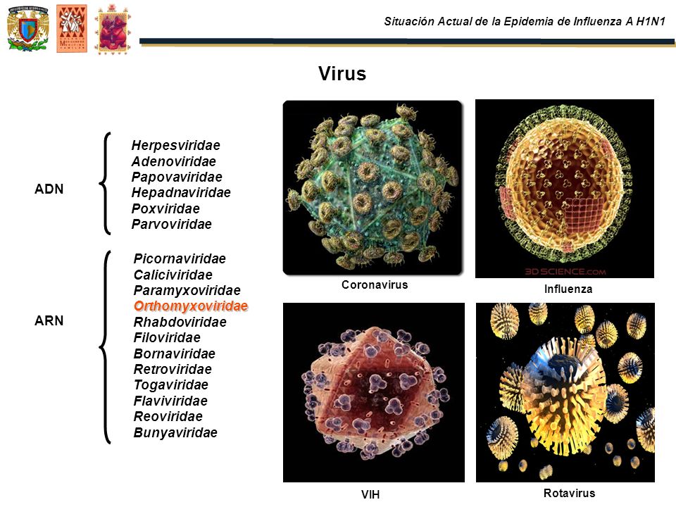Situación Actual de la Epidemia de Influenza A H1N1