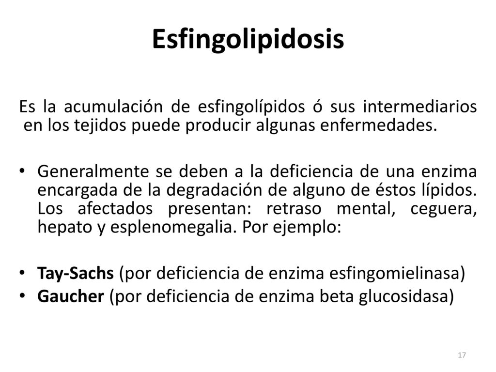 Esfingolipidosis Es la acumulación de esfingolípidos ó sus intermediarios en los tejidos puede producir algunas enfermedades.