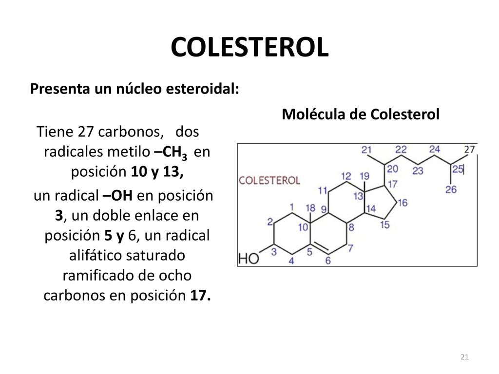 Tiene 27 carbonos, dos radicales metilo –CH3 en posición 10 y 13,