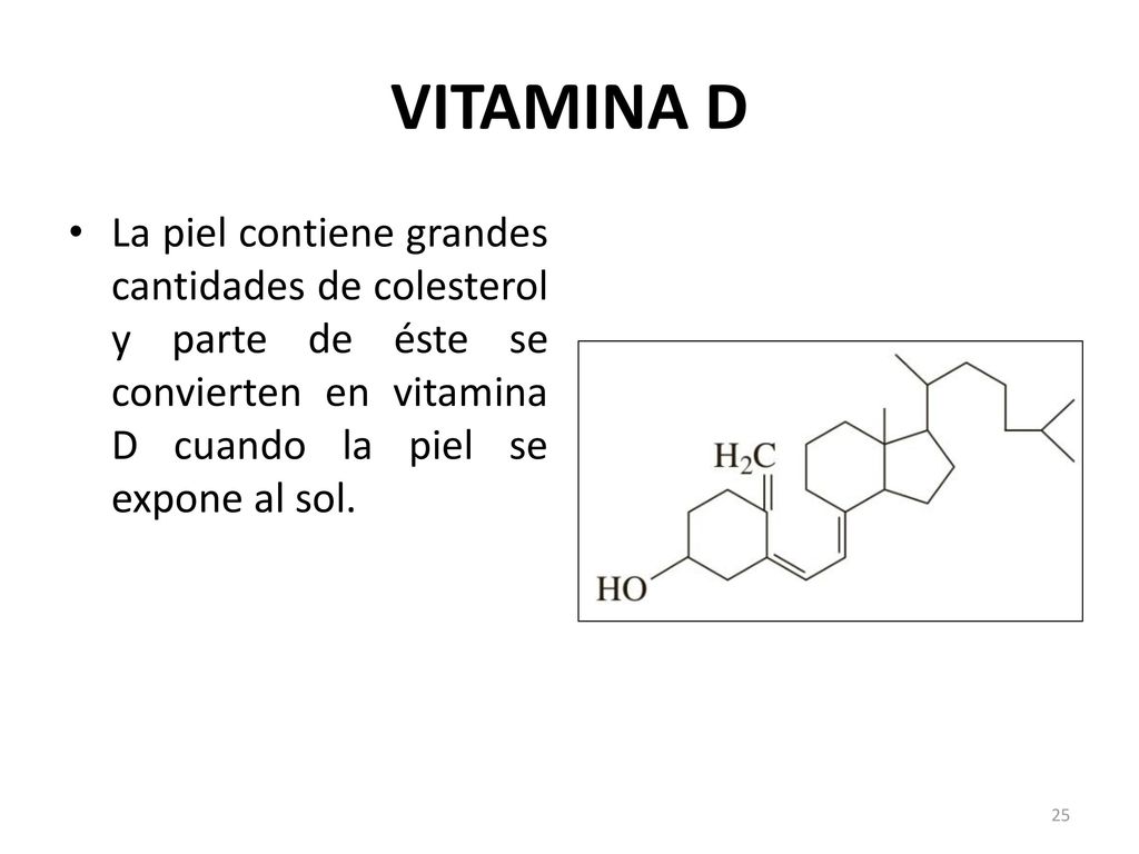 VITAMINA D La piel contiene grandes cantidades de colesterol y parte de éste se convierten en vitamina D cuando la piel se expone al sol.