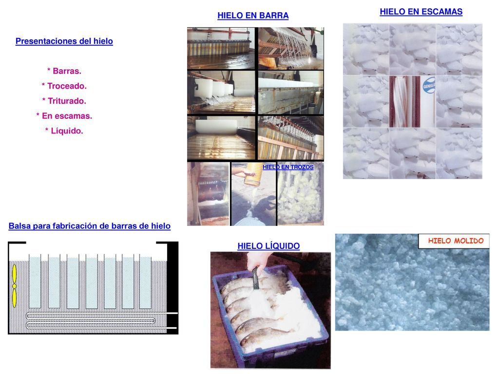 Presentaciones del hielo Balsa para fabricación de barras de hielo