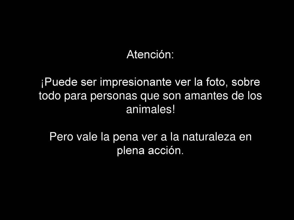 Atención: ¡Puede ser impresionante ver la foto, sobre todo para personas que son amantes de los animales.