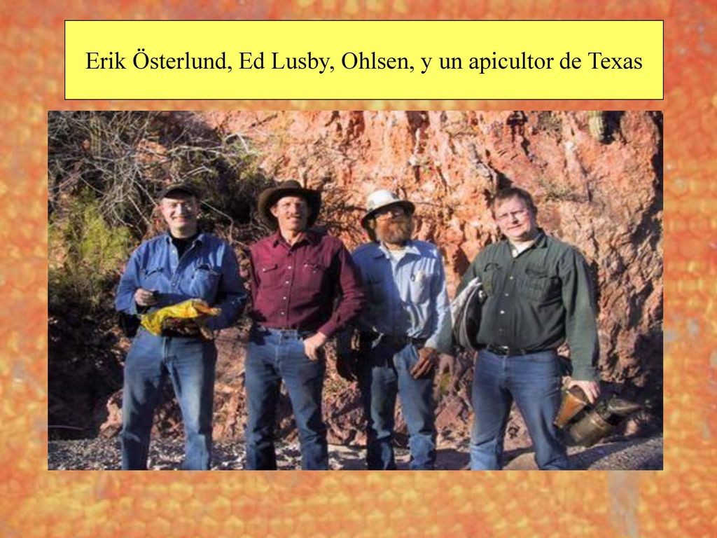 Erik Österlund, Ed Lusby, Ohlsen, y un apicultor de Texas