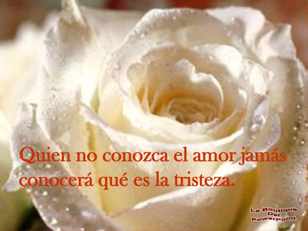 Quien no conozca el amor jamás conocerá qué es la tristeza.
