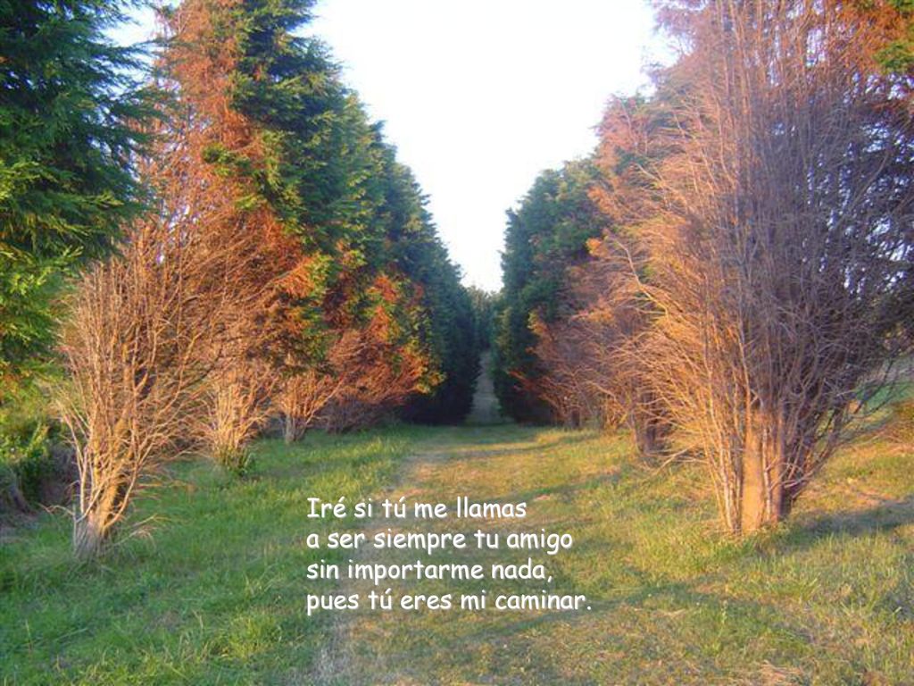 Iré si tú me llamas a ser siempre tu amigo sin importarme nada, pues tú eres mi caminar.