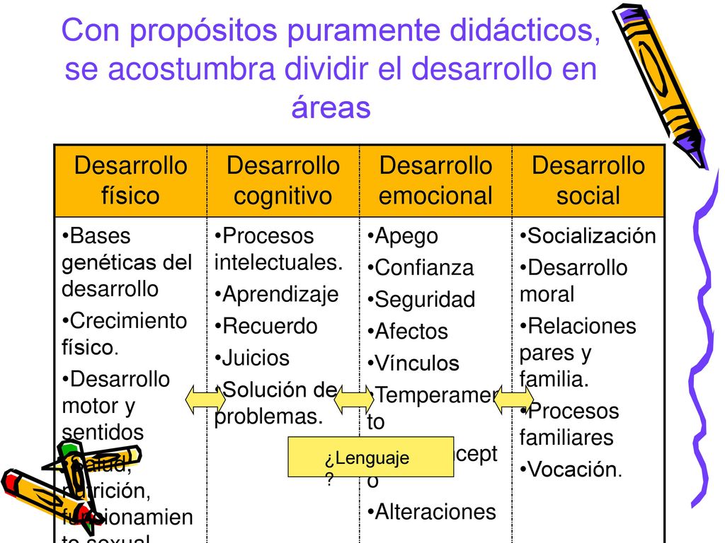 Con propósitos puramente didácticos, se acostumbra dividir el desarrollo en áreas