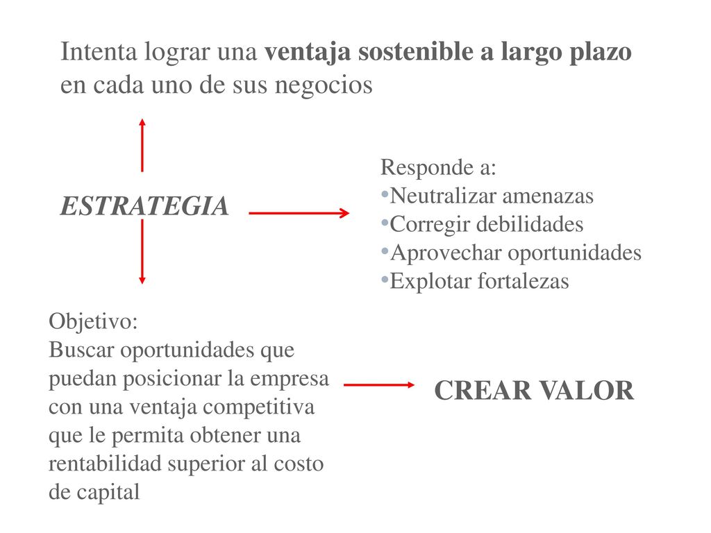 Intenta lograr una ventaja sostenible a largo plazo en cada uno de sus negocios