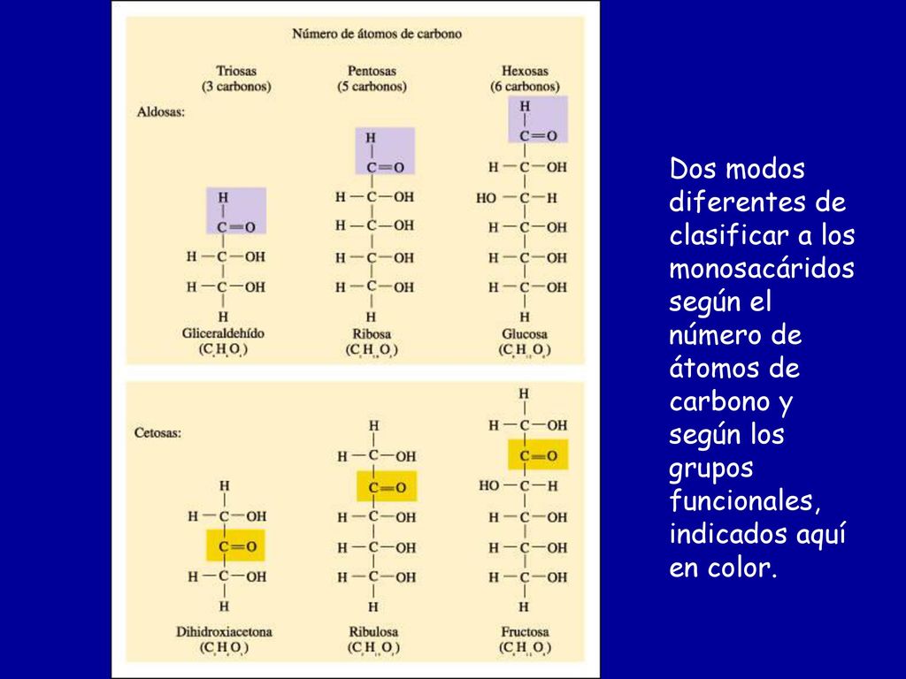 Dos modos diferentes de clasificar a los monosacáridos según el número de átomos de carbono y según los grupos funcionales, indicados aquí en color.