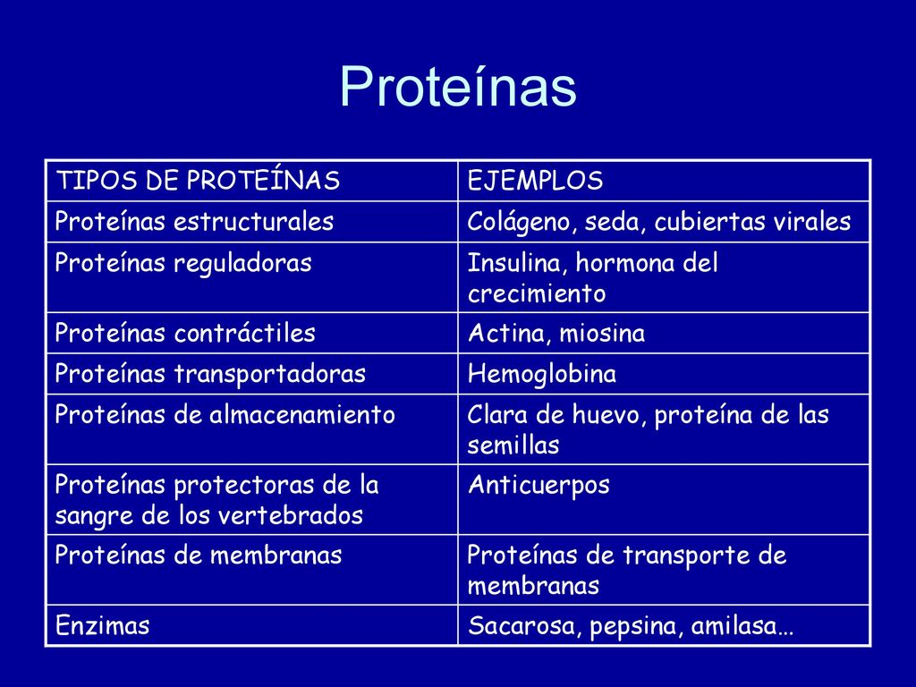 Proteínas TIPOS DE PROTEÍNAS EJEMPLOS Proteínas estructurales