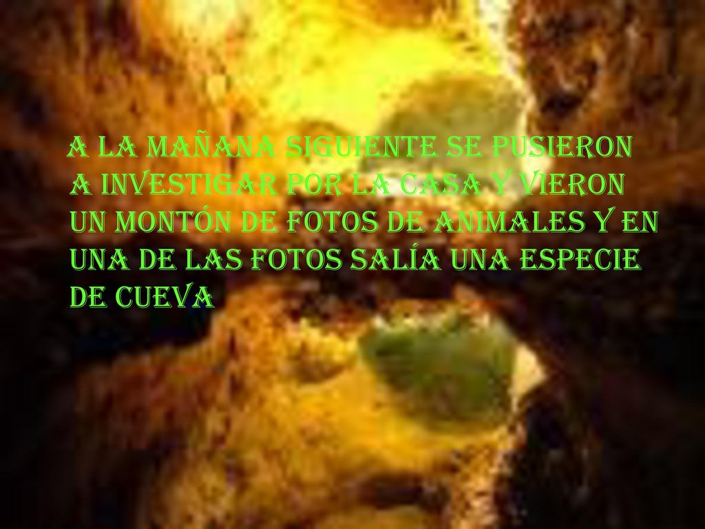 A la mañana siguiente se pusieron a investigar por la casa y vieron un montón de fotos de animales y en una de las fotos salía una especie de cueva