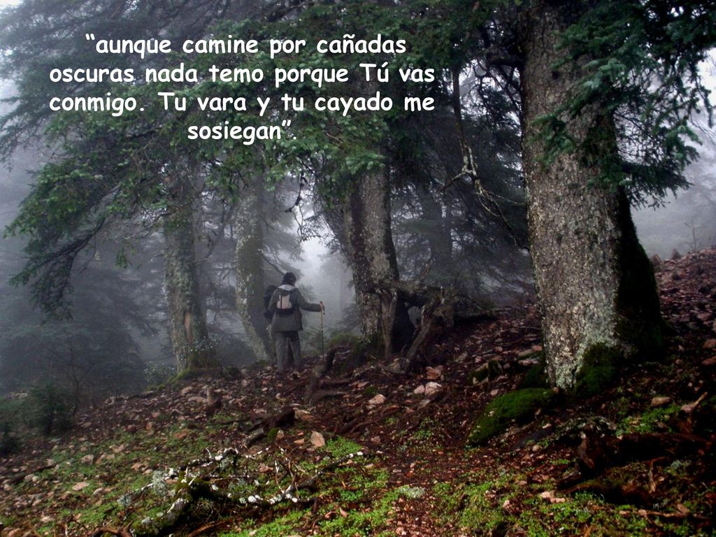 aunque camine por cañadas oscuras nada temo porque Tú vas conmigo