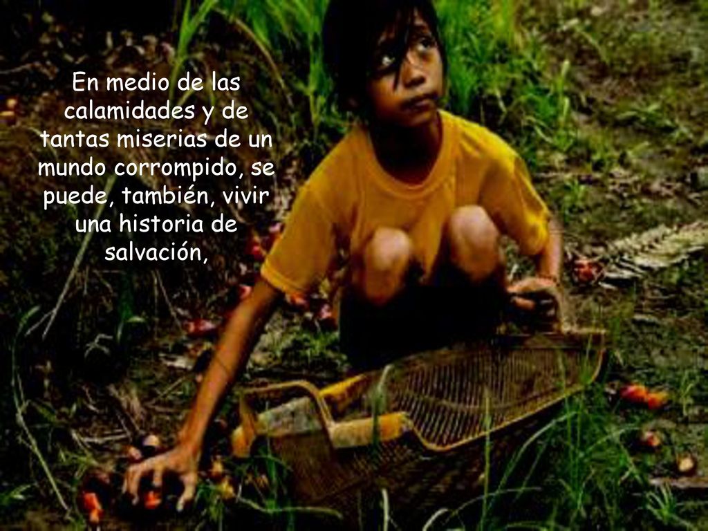 En medio de las calamidades y de tantas miserias de un mundo corrompido, se puede, también, vivir una historia de salvación,