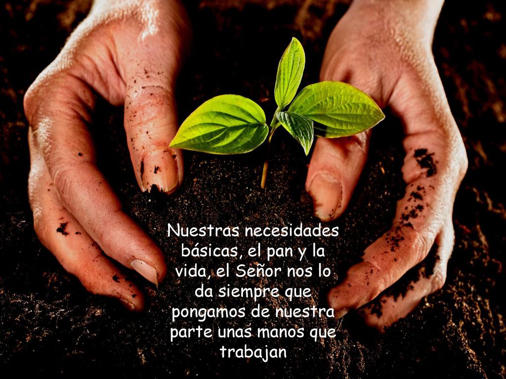 Nuestras necesidades básicas, el pan y la vida, el Señor nos lo da siempre que pongamos de nuestra parte unas manos que trabajan