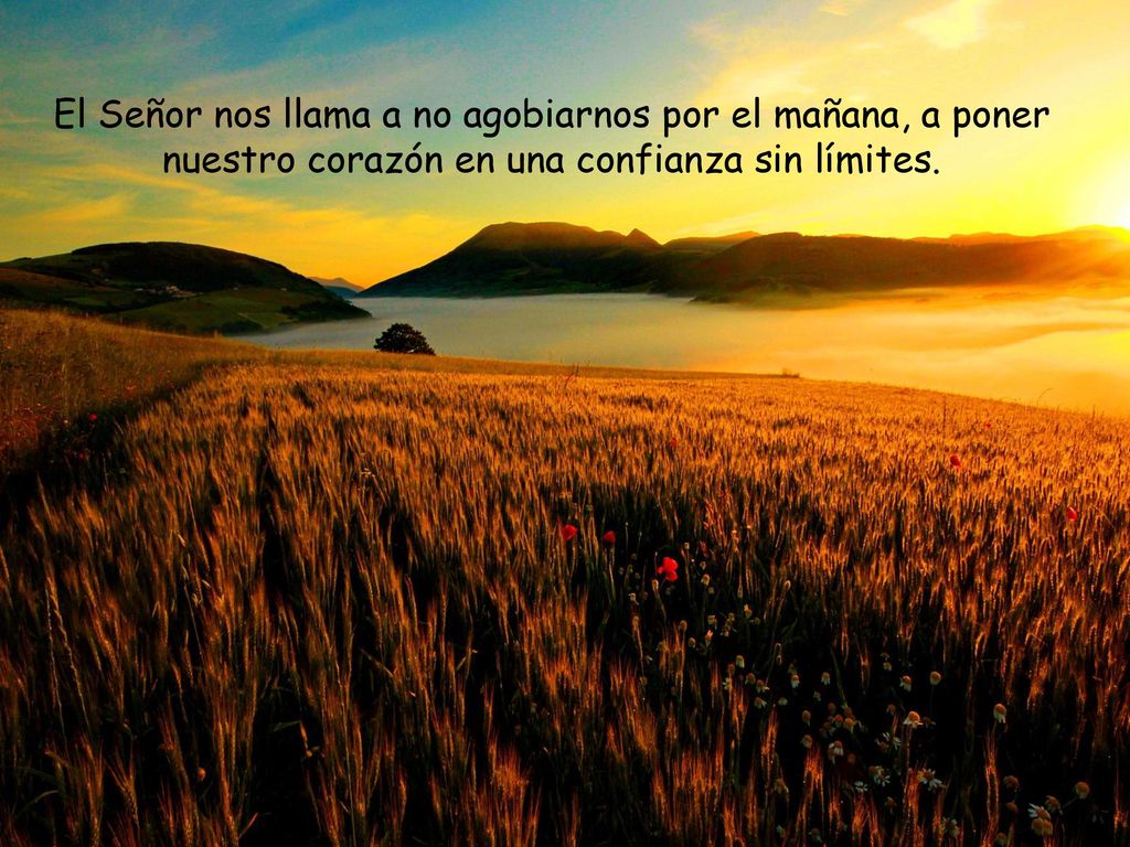 El Señor nos llama a no agobiarnos por el mañana, a poner nuestro corazón en una confianza sin límites.
