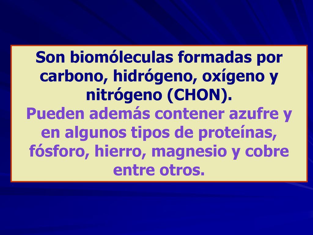 Son biomóleculas formadas por carbono, hidrógeno, oxígeno y nitrógeno (CHON).