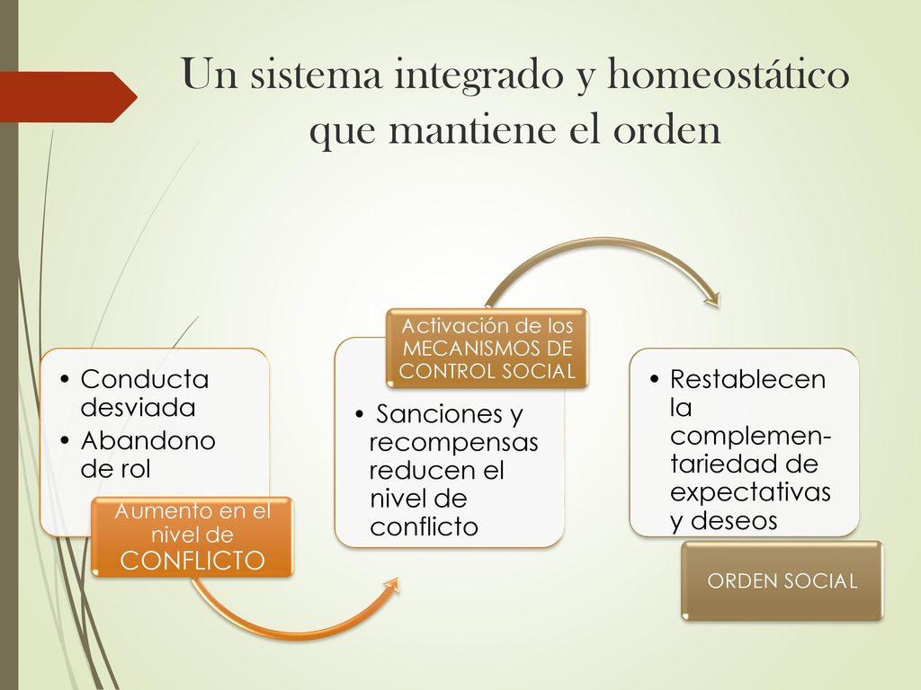 Un sistema integrado y homeostático que mantiene el orden