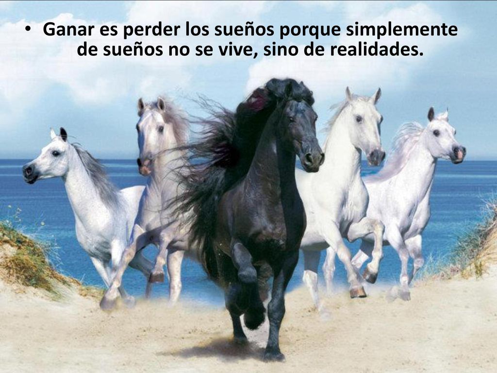 Ganar es perder los sueños porque simplemente de sueños no se vive, sino de realidades.