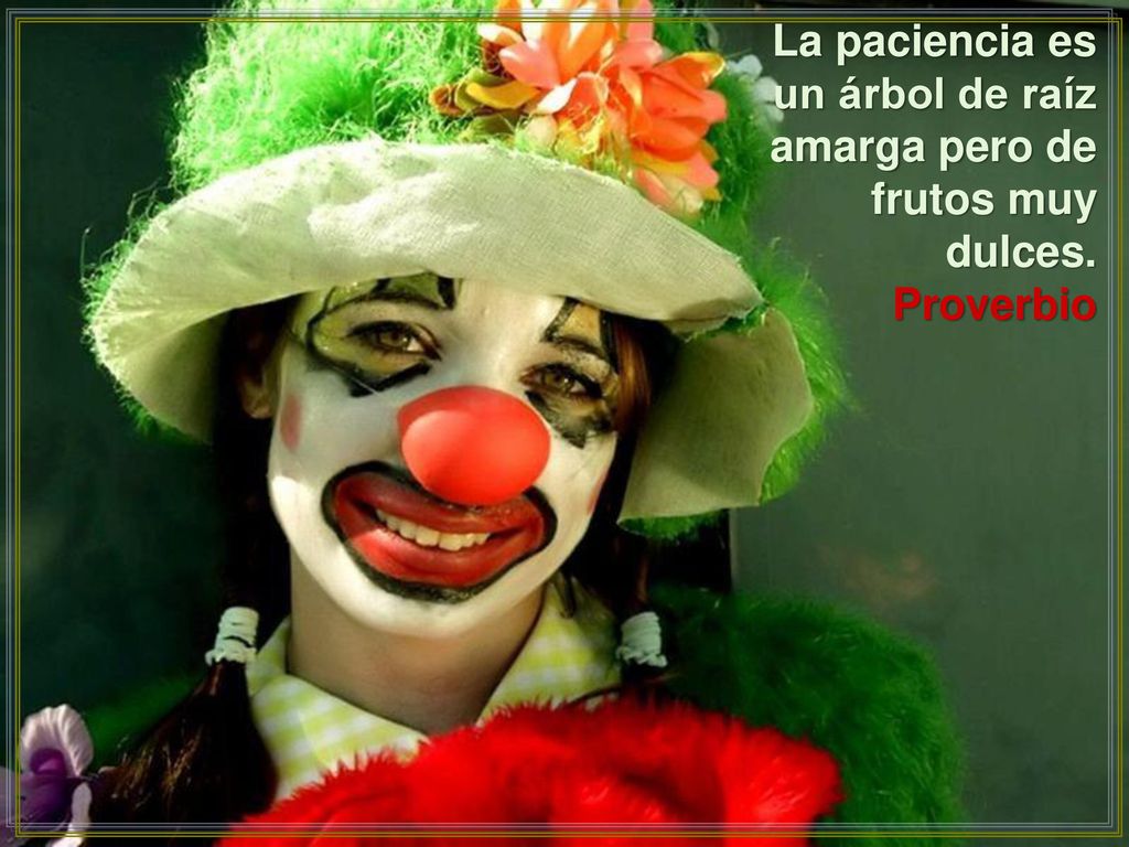 La paciencia es un árbol de raíz amarga pero de frutos muy dulces.