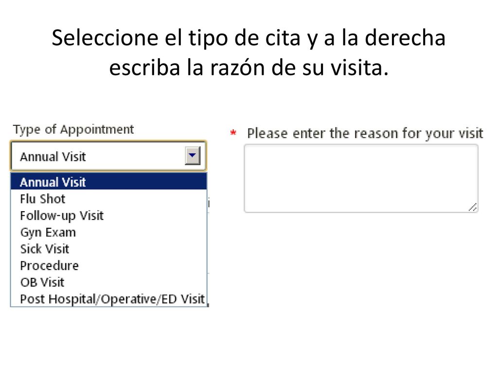 Seleccione el tipo de cita y a la derecha escriba la razón de su visita.