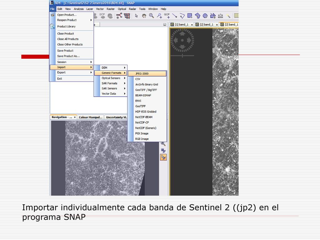 Importar individualmente cada banda de Sentinel 2 ((jp2) en el programa SNAP