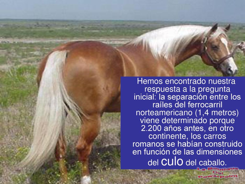 Hemos encontrado nuestra respuesta a la pregunta inicial: la separación entre los raíles del ferrocarril norteamericano (1,4 metros) viene determinado porque años antes, en otro continente, los carros romanos se habían construido en función de las dimensiones del culo del caballo.