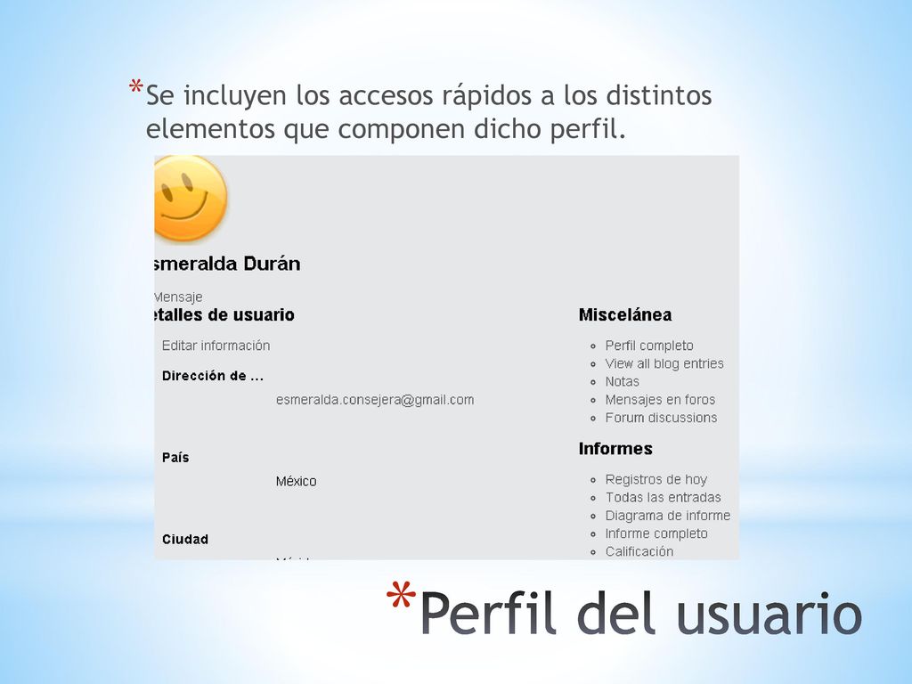 Se incluyen los accesos rápidos a los distintos elementos que componen dicho perfil.