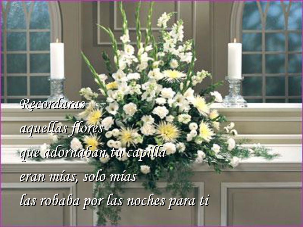 Recordaras aquellas flores. que adornaban tu capilla.
