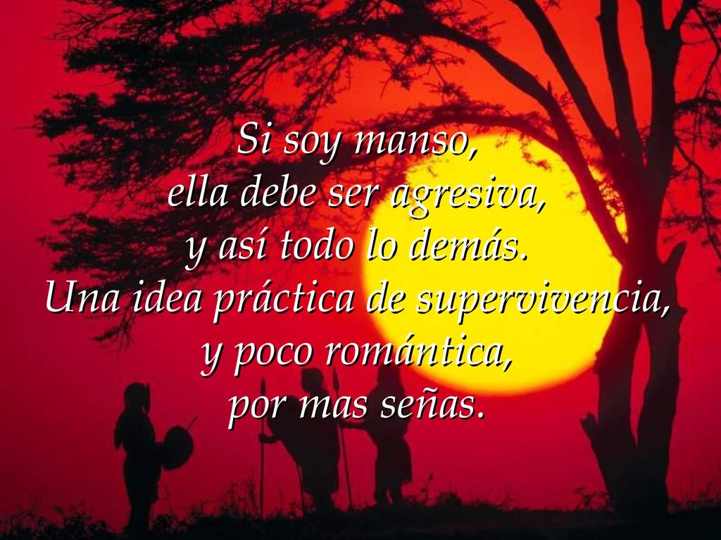 Si soy manso, ella debe ser agresiva, y así todo lo demás