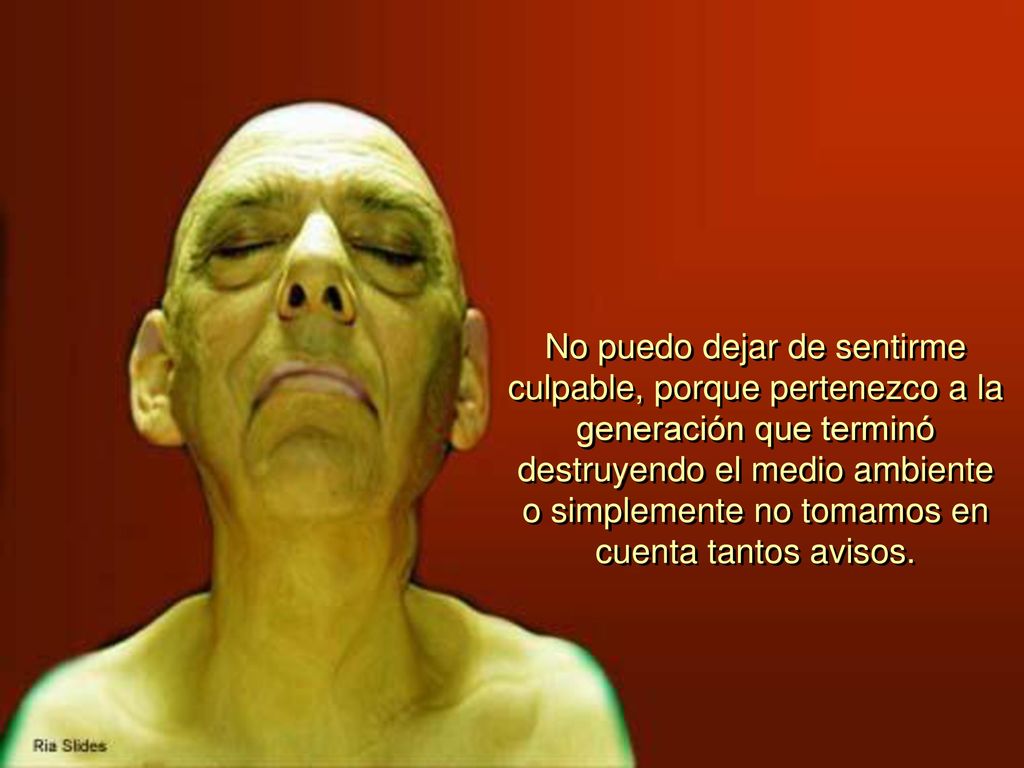 No puedo dejar de sentirme culpable, porque pertenezco a la generación que terminó destruyendo el medio ambiente o simplemente no tomamos en cuenta tantos avisos.