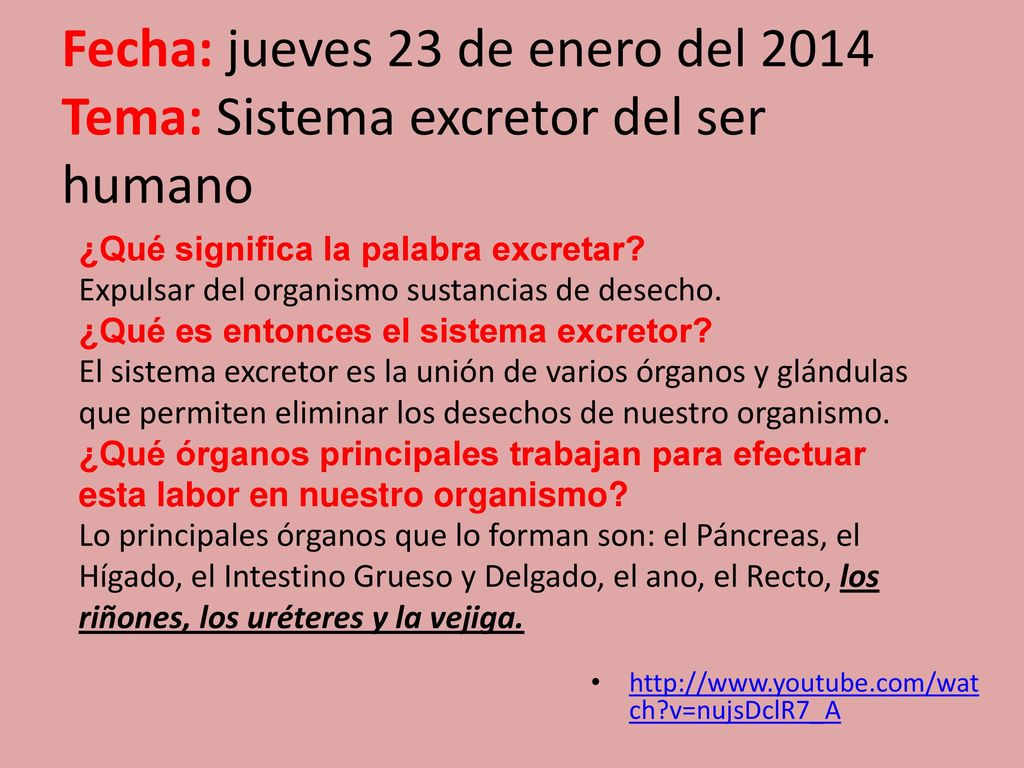 Fecha: jueves 23 de enero del 2014 Tema: Sistema excretor del ser humano