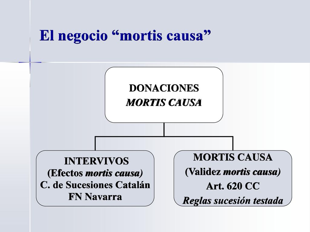 El negocio mortis causa