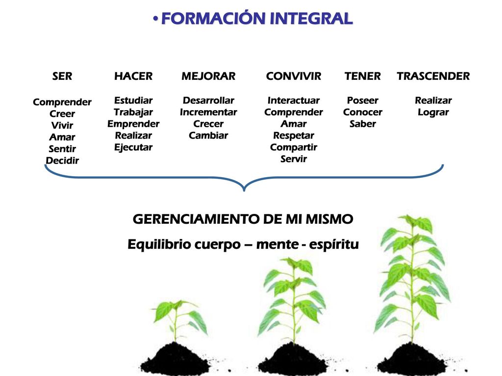 GERENCIAMIENTO DE MI MISMO Equilibrio cuerpo – mente - espíritu