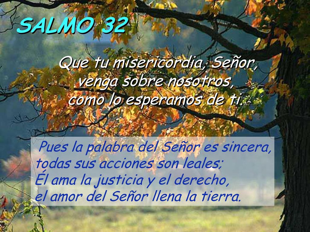 SALMO 32 Que tu misericordia, Señor, venga sobre nosotros, como lo esperamos de ti.