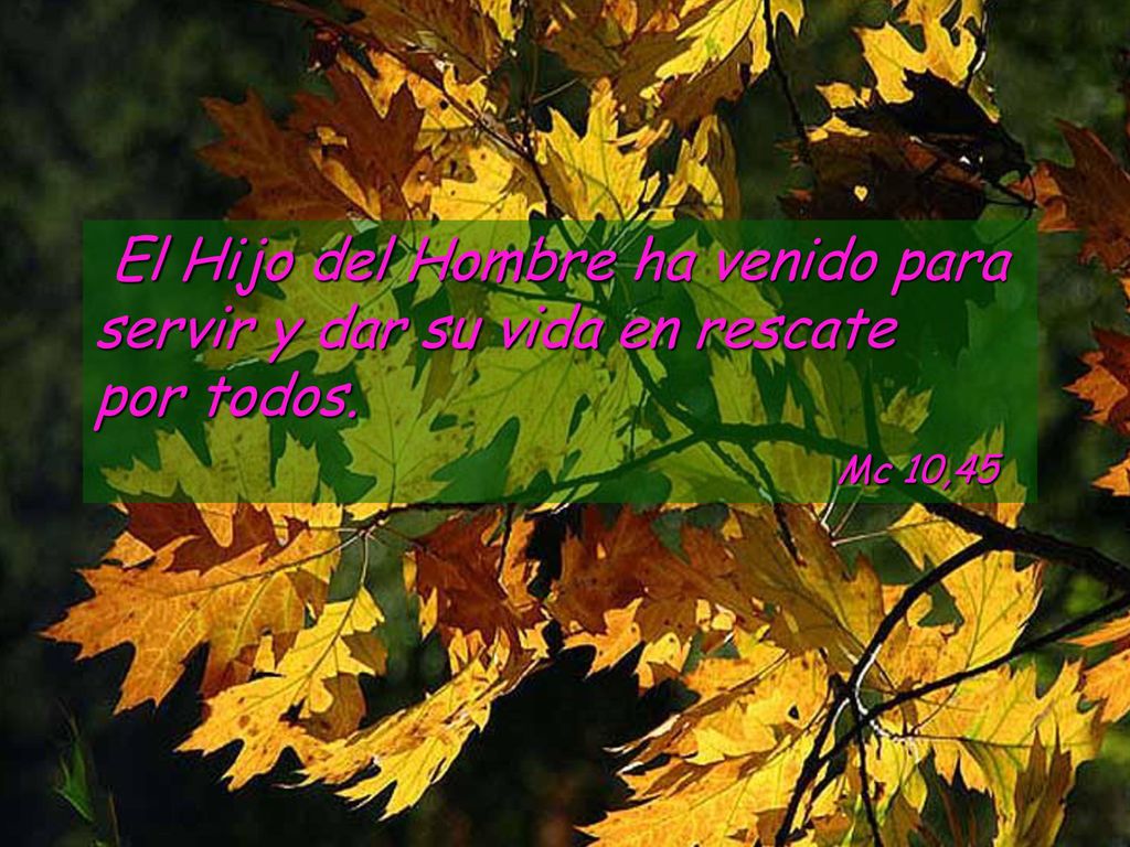 El Hijo del Hombre ha venido para servir y dar su vida en rescate por todos.