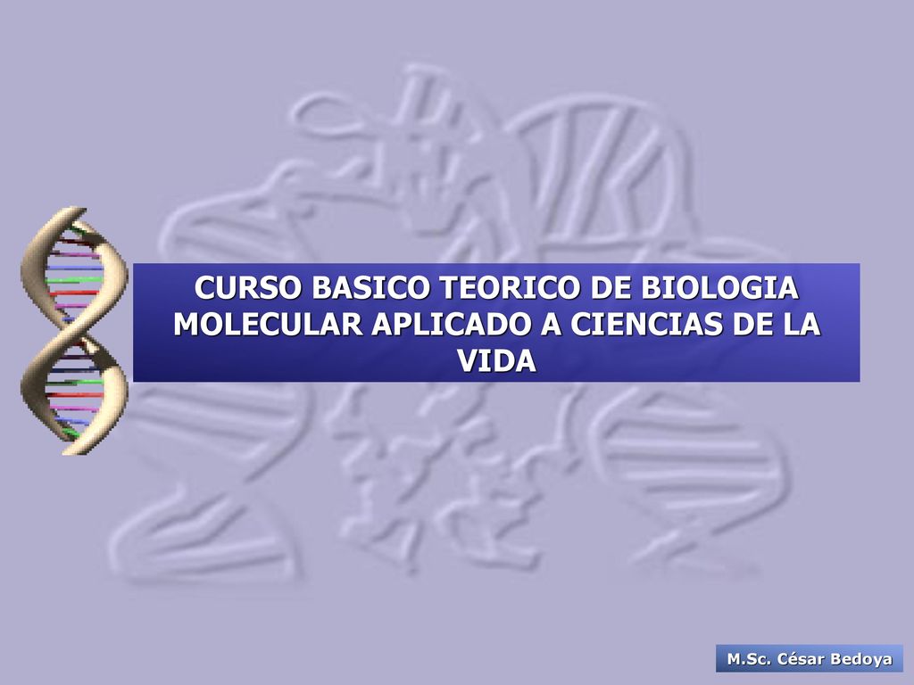 CURSO BASICO TEORICO DE BIOLOGIA MOLECULAR APLICADO A CIENCIAS DE LA VIDA