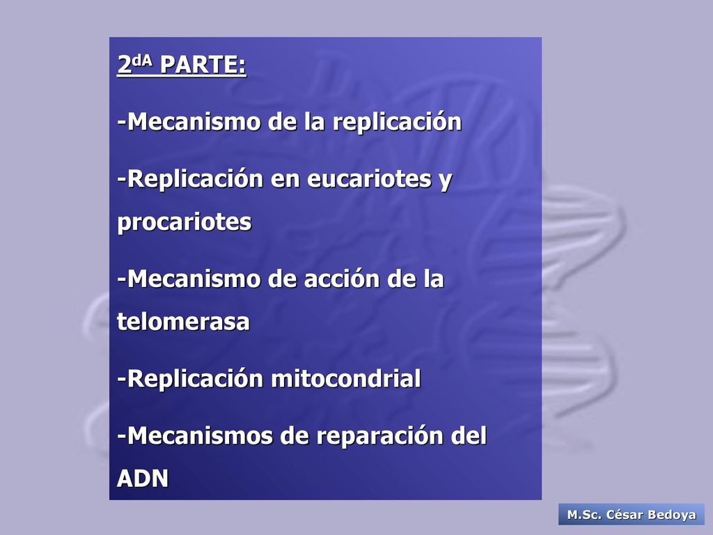 2dA PARTE: -Mecanismo de la replicación. -Replicación en eucariotes y procariotes. -Mecanismo de acción de la telomerasa.