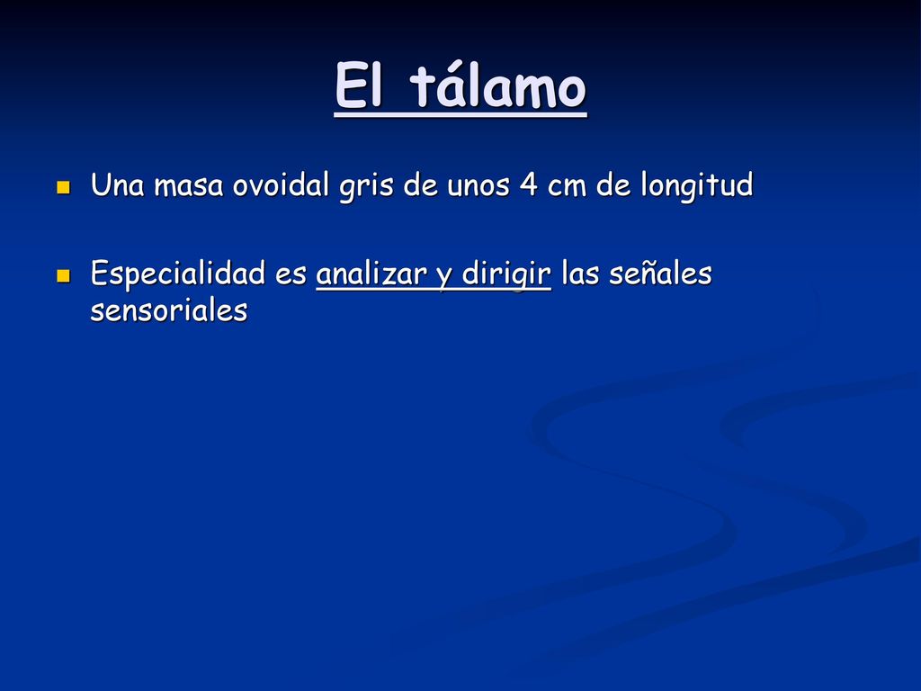 El tálamo Una masa ovoidal gris de unos 4 cm de longitud