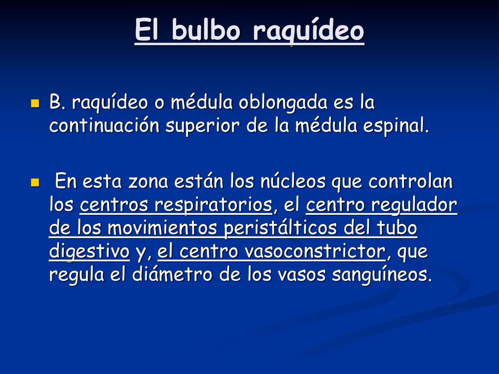 El bulbo raquídeo B. raquídeo o médula oblongada es la continuación superior de la médula espinal.