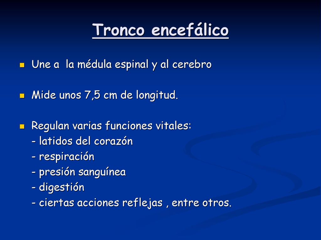 Tronco encefálico Une a la médula espinal y al cerebro