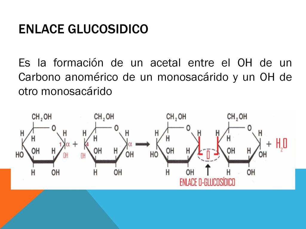 ENLACE GLUCOSIDICO Es la formación de un acetal entre el OH de un Carbono anomérico de un monosacárido y un OH de otro monosacárido.