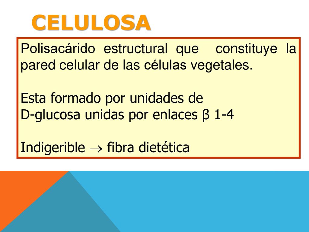 CELULOSA Polisacárido estructural que constituye la pared celular de las células vegetales. Esta formado por unidades de.