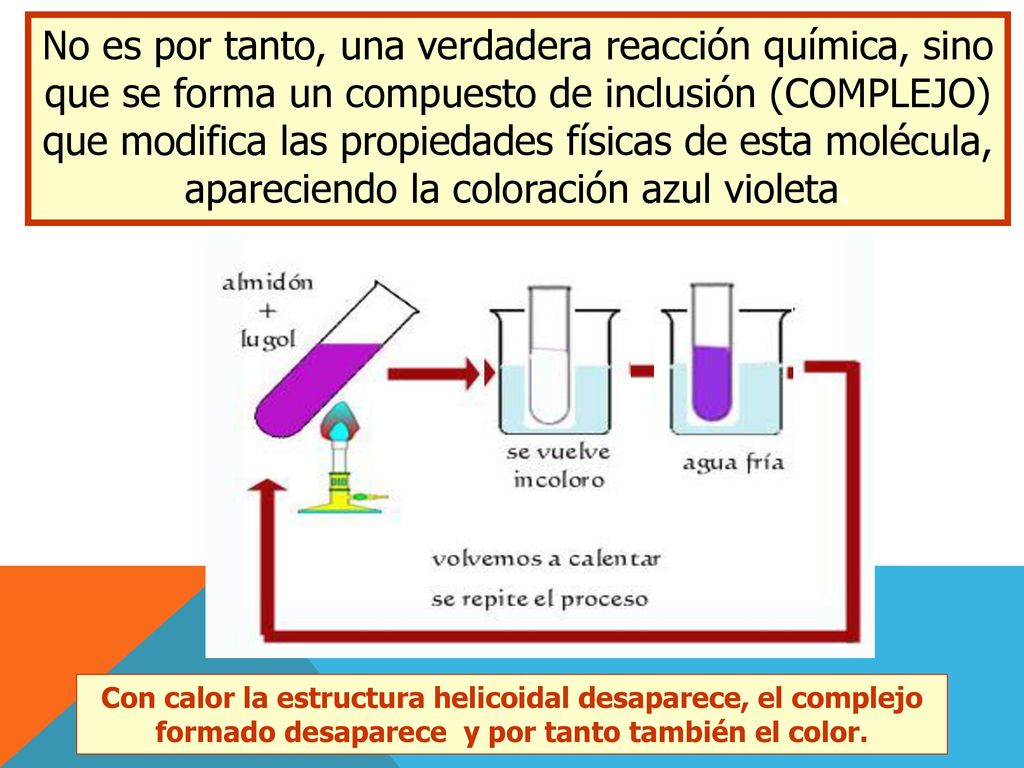 No es por tanto, una verdadera reacción química, sino que se forma un compuesto de inclusión (COMPLEJO) que modifica las propiedades físicas de esta molécula, apareciendo la coloración azul violeta.