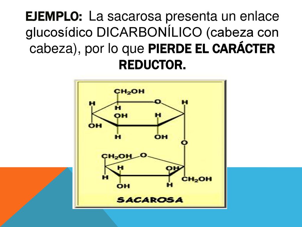 Ejemplo: La sacarosa presenta un enlace glucosídico DICARBONÍLICO (cabeza con cabeza), por lo que pierde el carácter reductor.