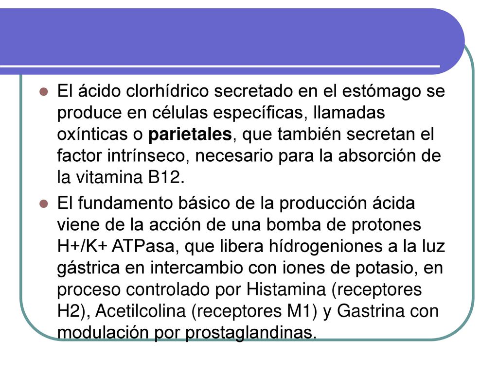 El ácido clorhídrico secretado en el estómago se produce en células específicas, llamadas oxínticas o parietales, que también secretan el factor intrínseco, necesario para la absorción de la vitamina B12.