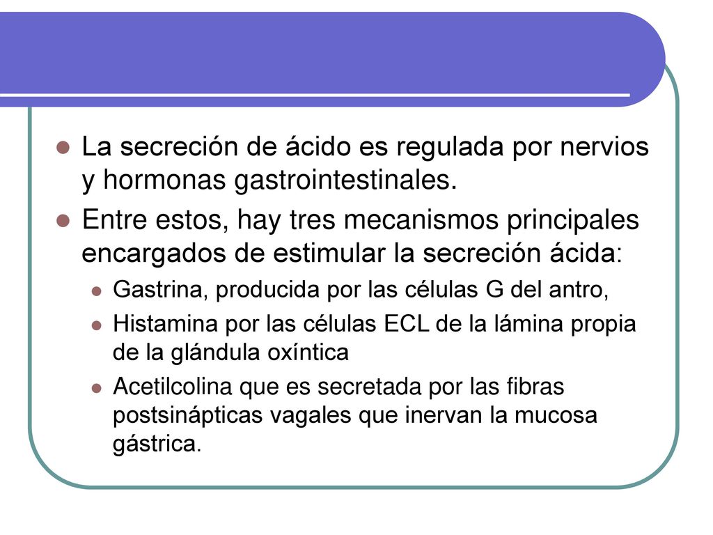 La secreción de ácido es regulada por nervios y hormonas gastrointestinales.
