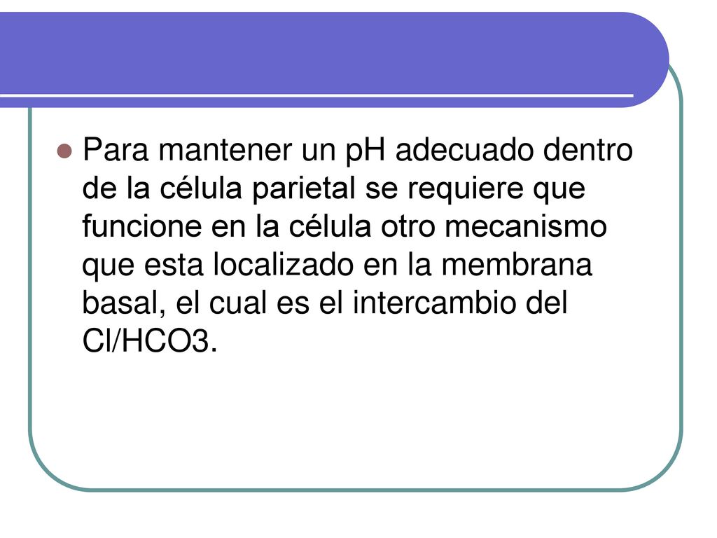 Para mantener un pH adecuado dentro de la célula parietal se requiere que funcione en la célula otro mecanismo que esta localizado en la membrana basal, el cual es el intercambio del Cl/HCO3.